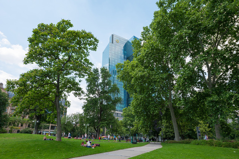 Begeleide wandeling tussen palmbomen en skylineMini-expeditie door de stadsjungle van Frankfurt