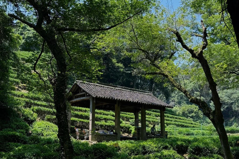 Hangzhou: Hike from Longjing Tea Village to Nine Creeks Group Tour