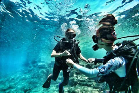 Malte : Leçon de plongée sous-marine et excursion guidéeLieu de rendez-vous de Sliema Version Deluxe