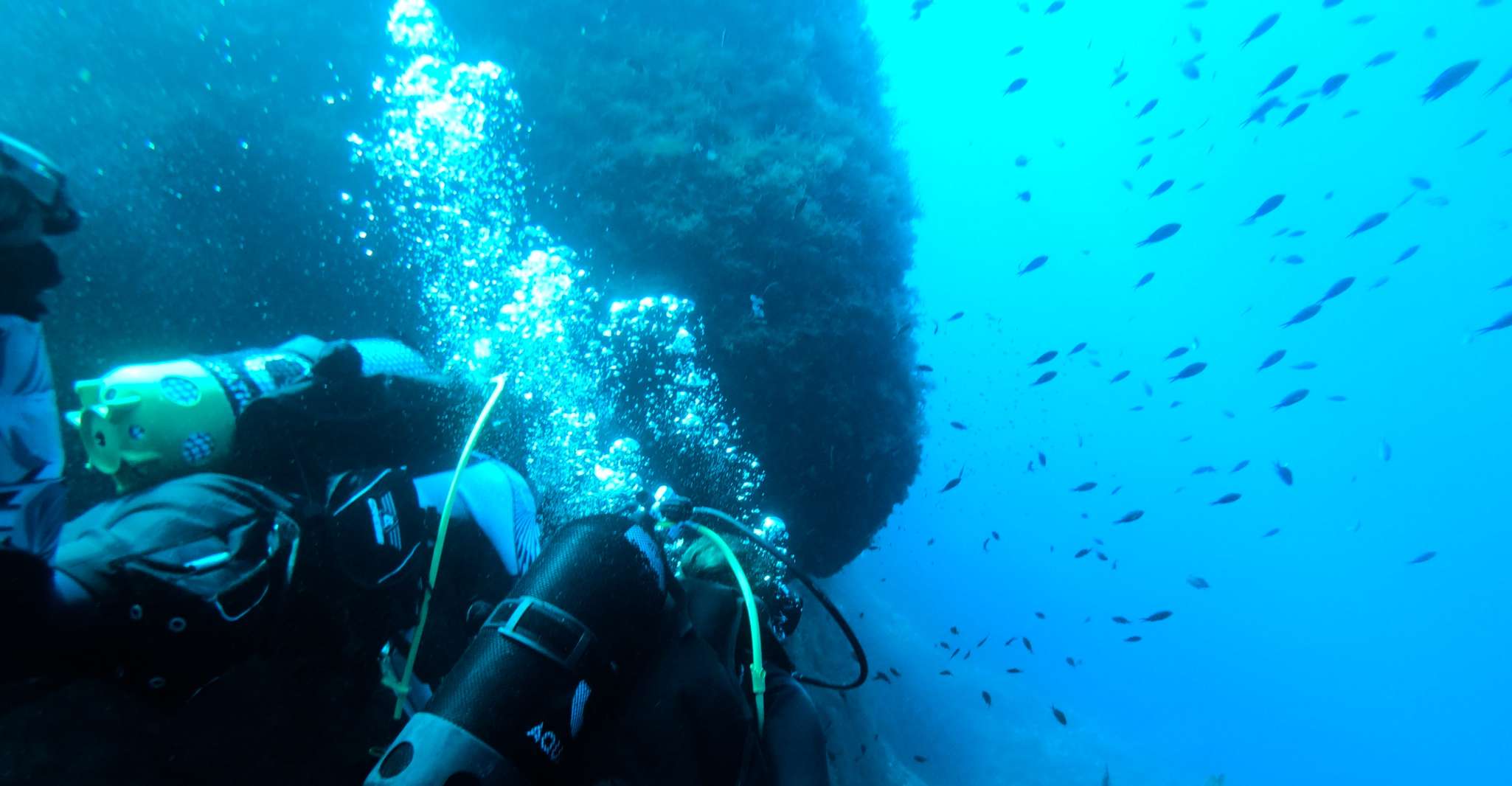 Malta, St. Paul's Bay Scuba Diving Lesson & Guided Excursion - Hizvo