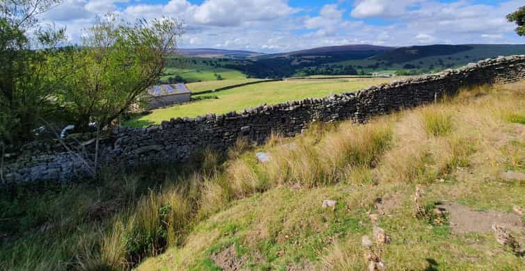 Desde York Excursión privada de un día al Parque Nacional de los Dales