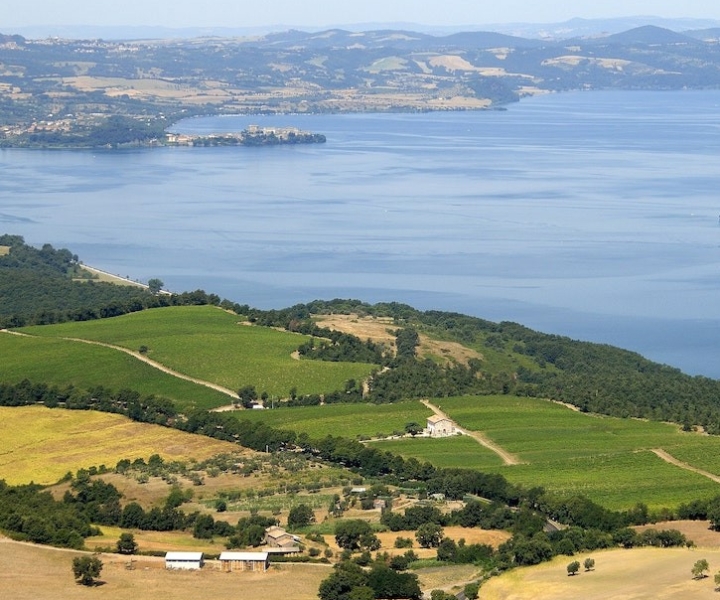 Озеро Больсена: частный тур по погребу и дегустация вин