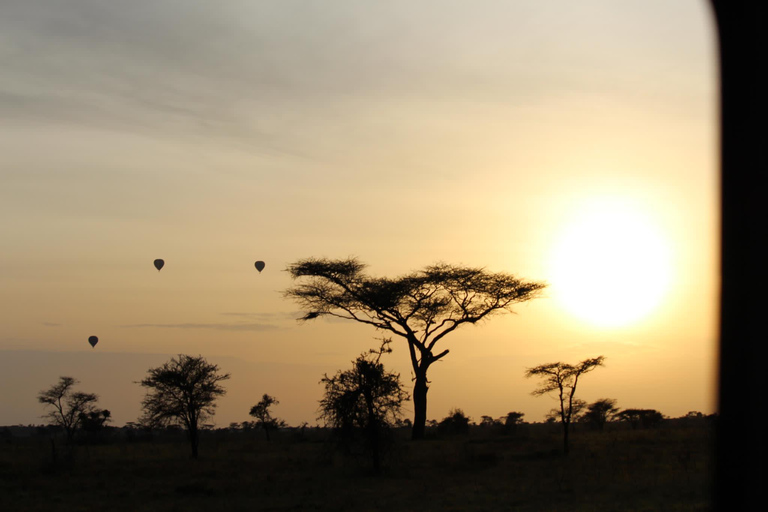 2 jours de safari en groupe dans le Tarangire et le cratère du Ngorongoro