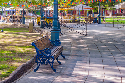 Mendoza: Walking & Wine Tour with Tastings & San Martin Park