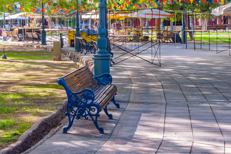 Mendoza: Walking & Wine Tour with Tastings & San Martin Park
