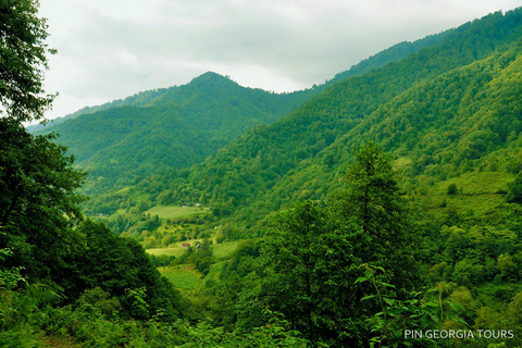 Batumi: Mtirala National Park Guided Hiking & Treetop Tour Mtirala National Park Private Tour