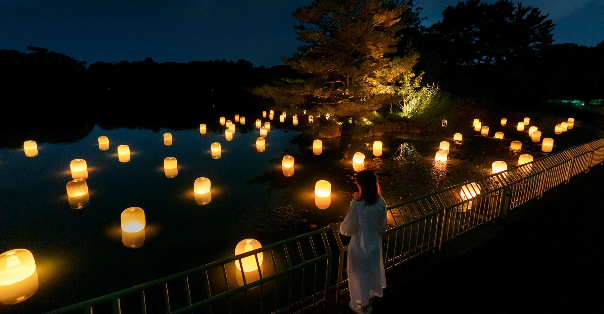 Osaka: teamLab Botanical Garden Entry Ticket photo 6