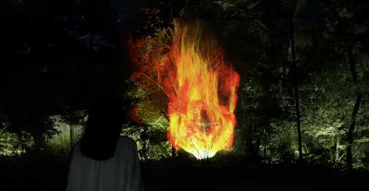 Osaka: teamLab Botanical Garden Entry Ticket photo 9