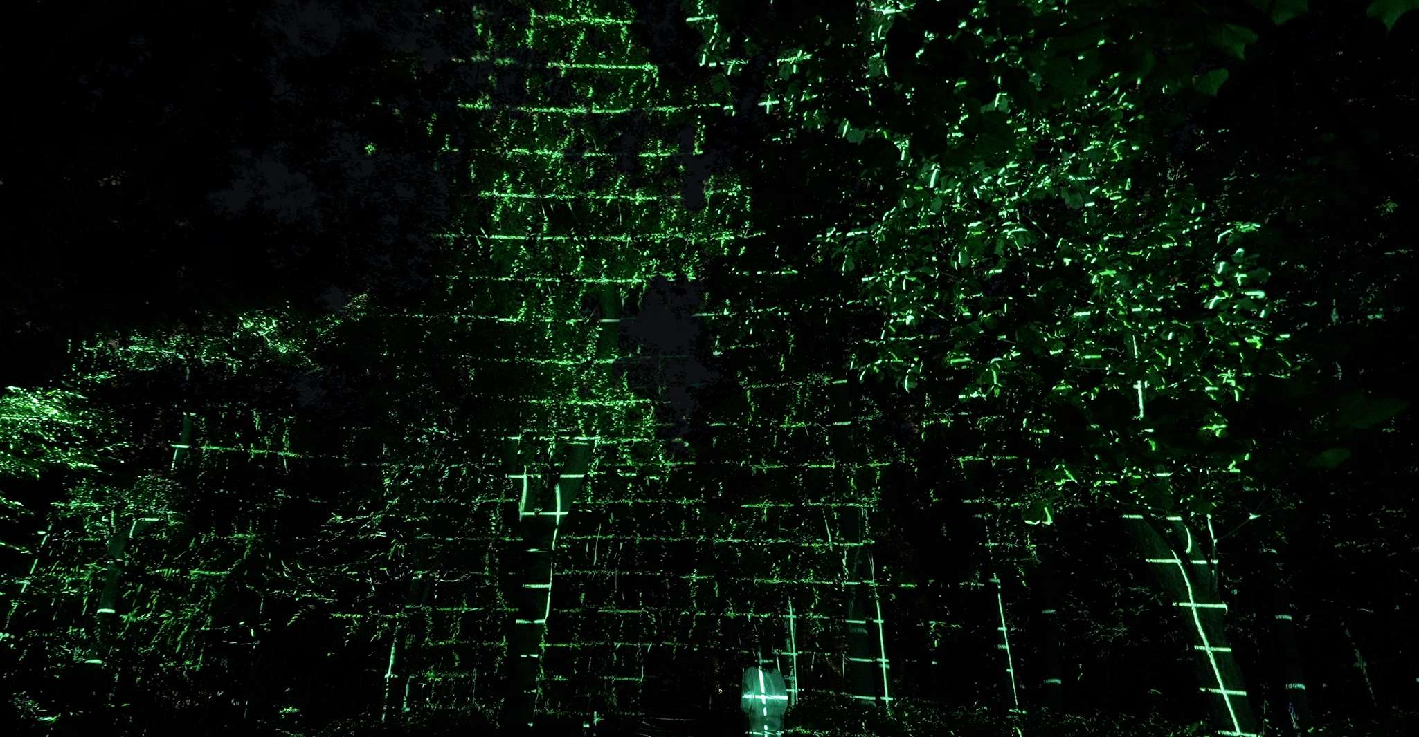 Osaka: teamLab Botanical Garden Entry Ticket photo 7