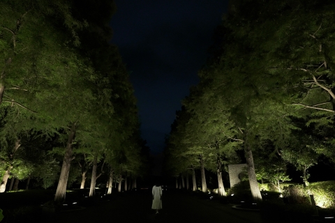 Osaka: teamLab Botanical Garden EintrittskarteWochentage