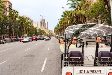 Barcelona: stadstour per privé elektrische Tuk Tuk2 uur durende stadstour per elektrische Tuk-Tuk