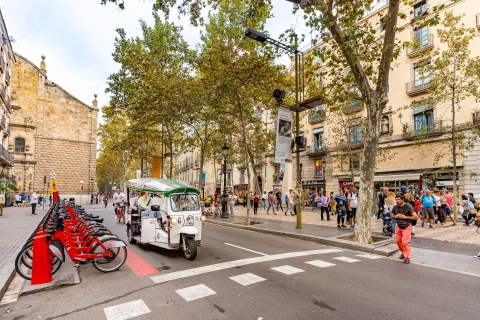 Barcelona: Stadtrundfahrt mit einem privaten elektrischen Tuk Tuk3-stündige Stadtrundfahrt mit dem elektrischen Tuk-Tuk