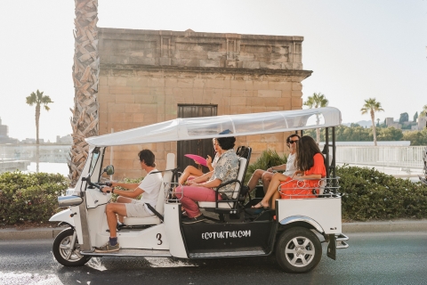 Malaga: Stadtrundfahrt im Elektro-Tuk-Tuk1-stündige Tour