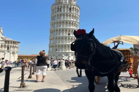 From Livorno: Bus Transfer to the Leaning Tower of Pisa 12 PM Transfer Only