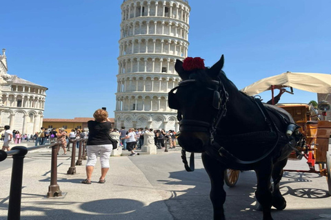 Van La Spezia: retour naar Pisa Cruise Shore ExcursionTransfer en stadswandeling inclusief toren van Pisa