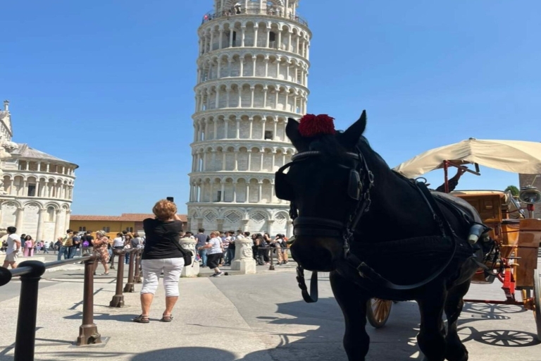 From La Spezia: Round-Trip to Pisa Cruise Shore Excursion Transfer and City Walking Tour in Pisa