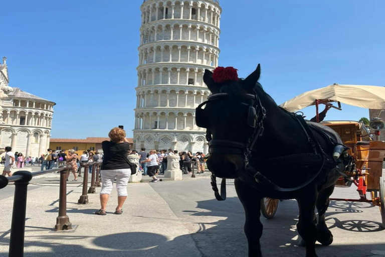 From La Spezia: Round-Trip to Pisa Cruise Shore ExcursionClassic Option: Transfer and Walk with a Local in Pisa