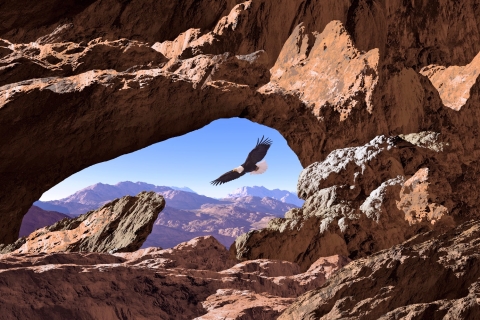 Moab: zelfgeleide autorit door Arches National Park