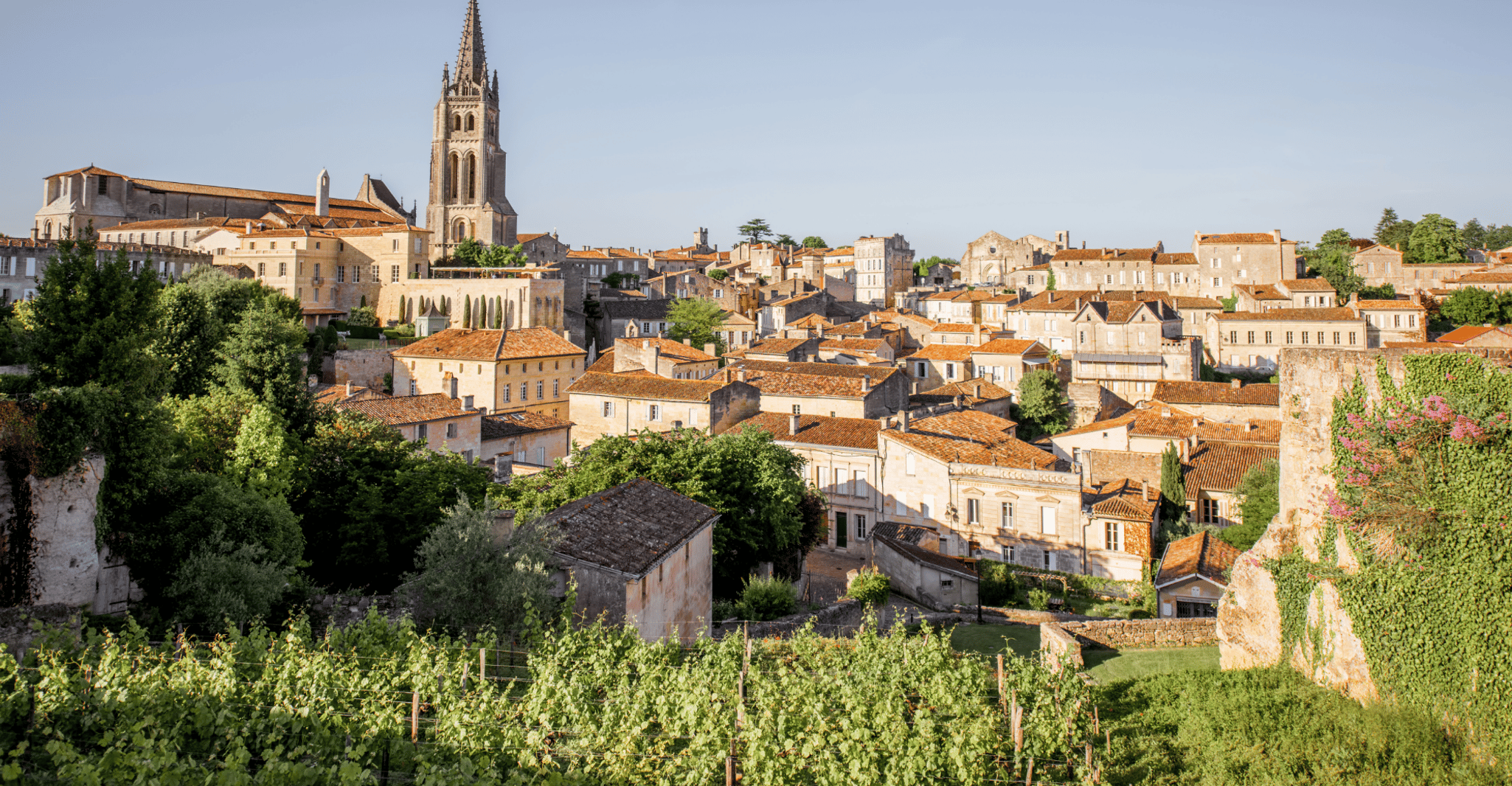 Da Bordeaux, escursione di mezza giornata a Saint-Émilion con degustazione di vini - Hizvo