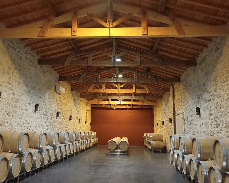 Da Bordeaux, escursione di mezza giornata a Saint-Émilion con degustazione di vini - Hizvo