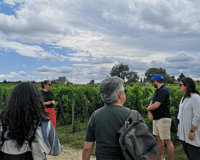 Da Bordeaux, escursione di mezza giornata a Saint-Émilion con degustazione di vini - Hizvo