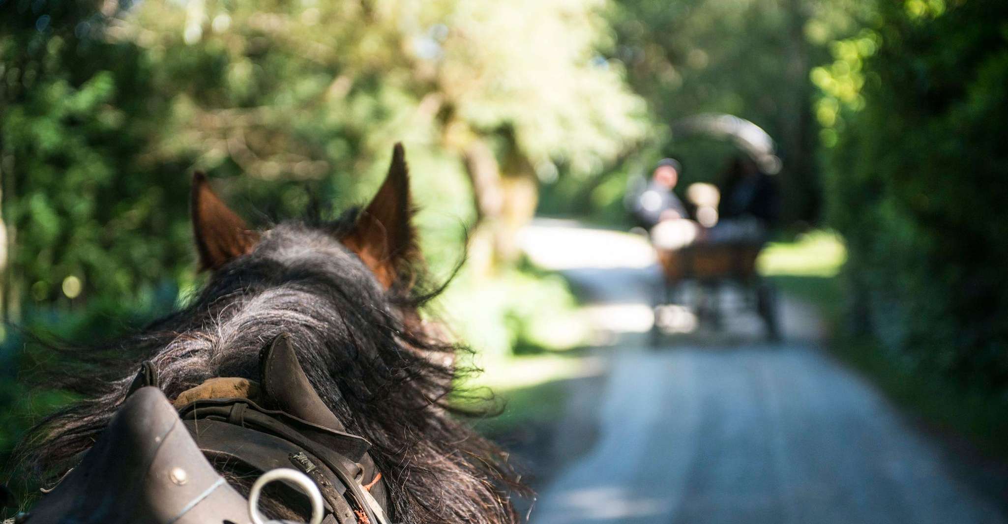 Killarney, Tour guidato con tè pomeridiano - Hizvo