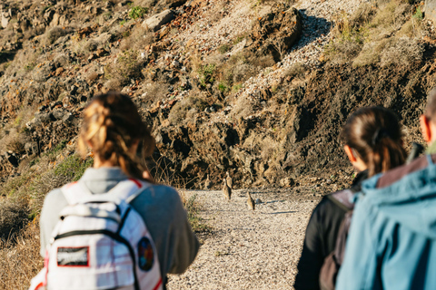 Santorini: Caldera Trail Guided Hike and Sunset Viewing