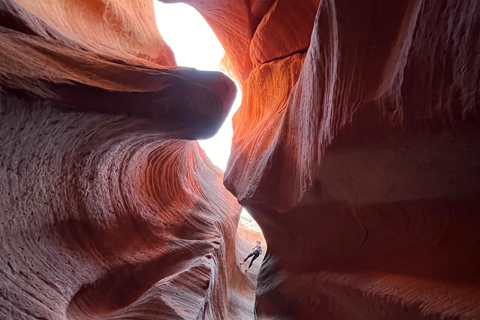Orderville: Rappelling Slot Canyon وجولة UTVأوردرفيل: جولة تسلق المنحدرات في وادي سلوت ومركبات UTV