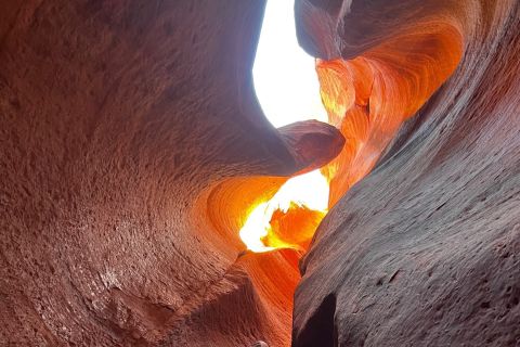 Orderville: Rappelling Slot Canyon and UTV Tour