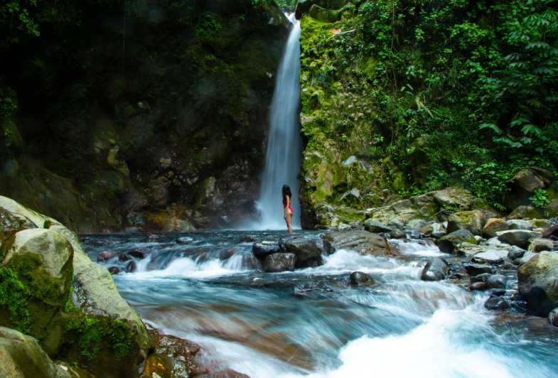 Guanacaste Sensoria Rainforest Walking and Thermals Tour GetYourGuide