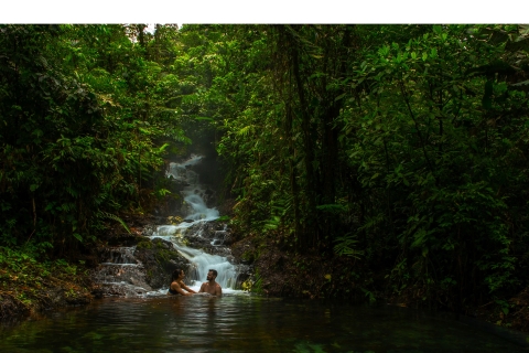 Guanacaste: spacer po lesie deszczowym Sensoria i wycieczka termalnaZ transportem