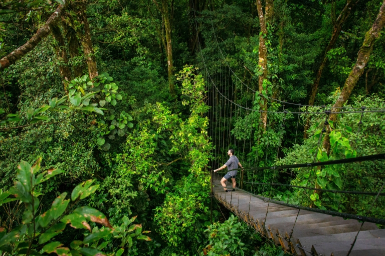 Guanacaste: spacer po lesie deszczowym Sensoria i wycieczka termalnaZ transportem
