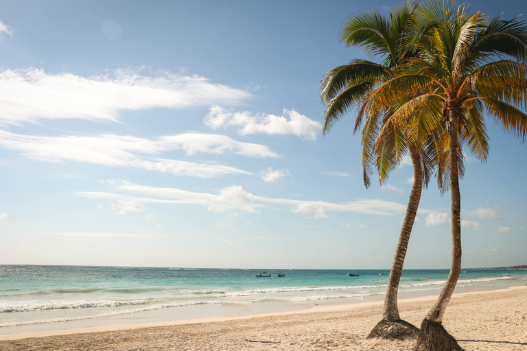 Riviera Maya: excursion de plongée en apnée avec tortues et cénote