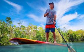 Marco Island: Guided Manatee-Watching Kayaking or SUP Tour