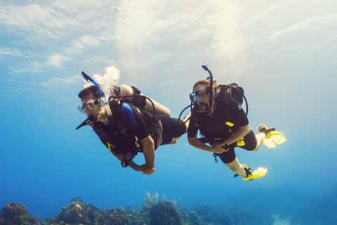 Hurghada: Diving or Snorkeling Boat Tour with Lunch & Drinks