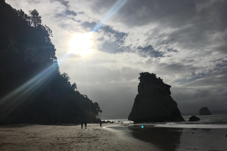 Auckland: Tour particular pela praia, cavernas e floresta de CoromandelAuckland: Tour particular pelas praias, cavernas e florestas de Coromandel