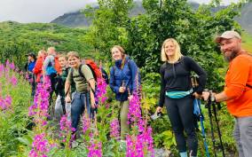 From Seward: 4-hour Wilderness Hiking Tour