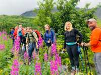 De Seward, 4 heures de randonnée dans la nature - Hizvo