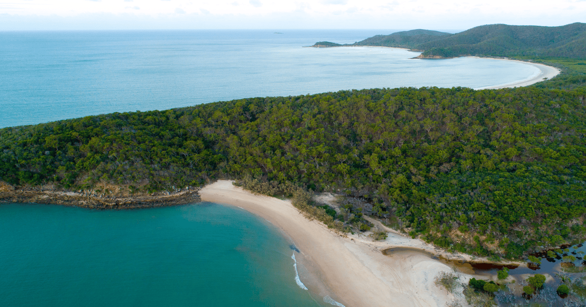 Из Йеппуна подводное плавание на острове ГрейтКеппел с обедом