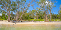 From Yeppoon, Great Keppel Island Snorkeling Trip with Lunch - Housity