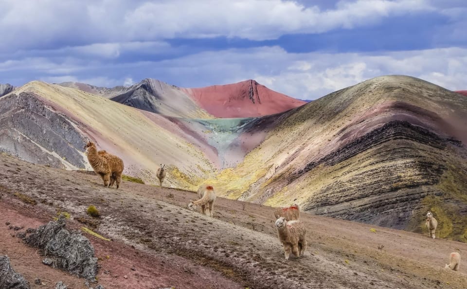 Excursi N De D A A La Monta A Arco Iris De Palccoyo Getyourguide