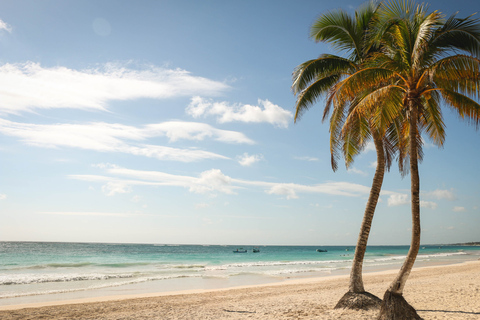 Cancun: Akumal Schildkröten und Cenote Schnorcheln Tour