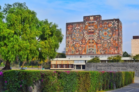 Privérondleiding langs muurschilderingen in het centrum van Mexico-stad