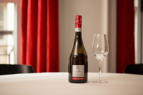 Passy-Grigny : Circuit des vins de Champagne Dom Caudron avec 3 dégustationsPassy-Grigny : Visite guidée des vins de Champagne Dom Caudron avec 3 dégustations
