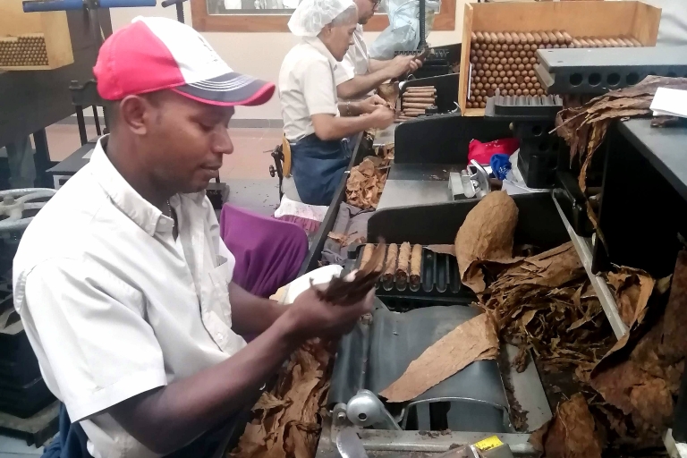 Von Puerto Plata Priv: Kakao, Kaffee, Zigarren und lokaler MarktKultur: Private Dominikanische Expedition abseits der ausgetretenen Pfade
