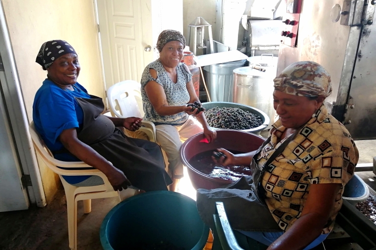 Z Puerto Plata Priv: Kakao, kawa, cygara i lokalny rynekKultura: Prywatna wyprawa dominikańska Off The Beaten Path