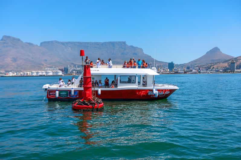 30min V&A Waterfront Harbour Cruise Le Cap
