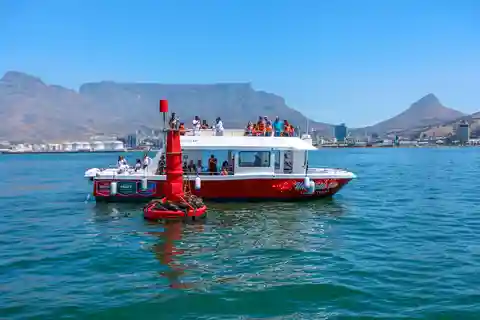 30min V&A Waterfront Harbour Cruise Città del Capo