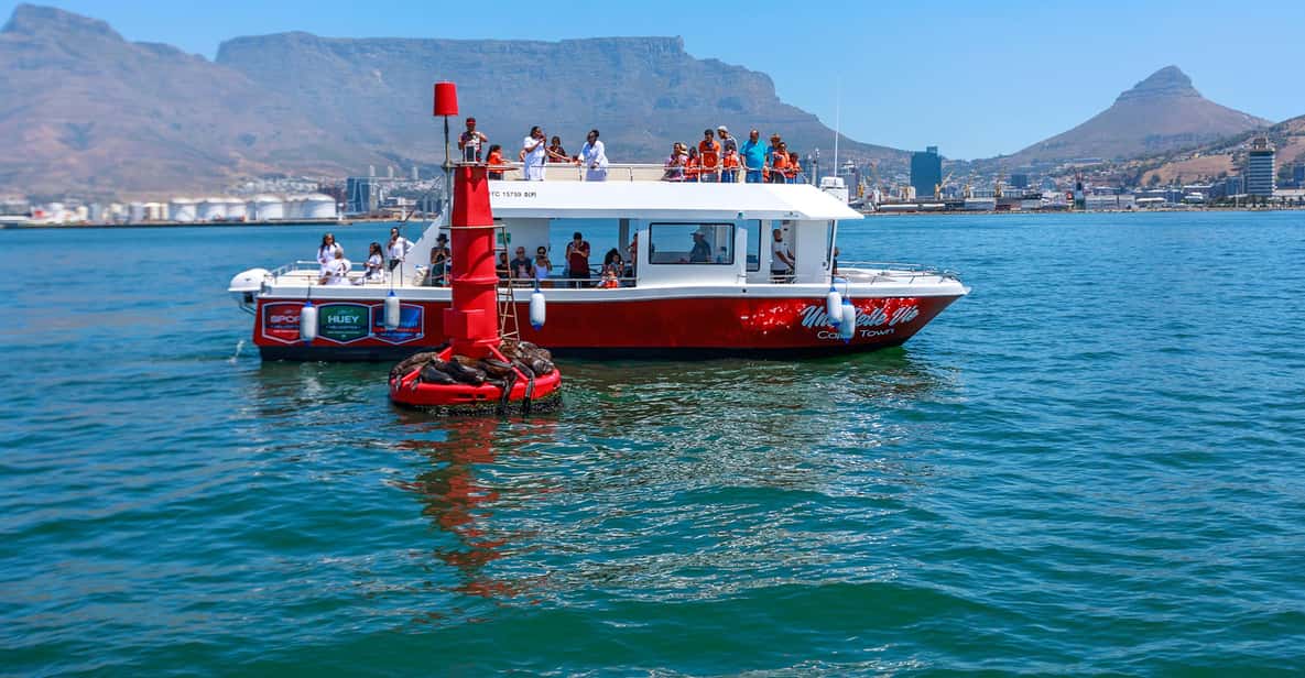 30-Minute V&A Waterfront Harbour Cruise Cape Town — a boat tour from Cape Town, South Africa