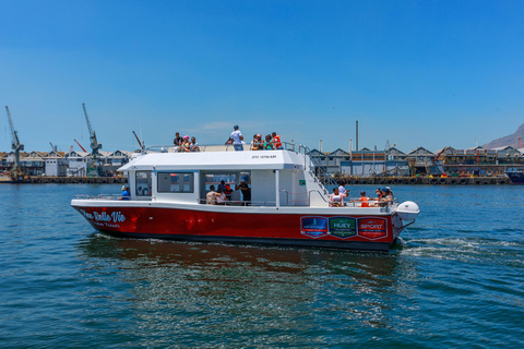 30min V&amp;A Waterfront Harbour Cruise Città del Capo